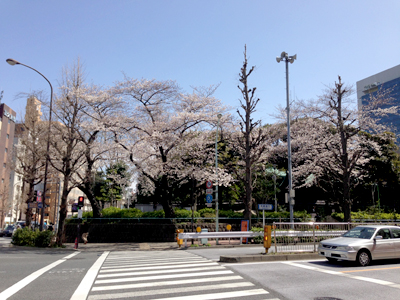 20130321_0450_m.jpg