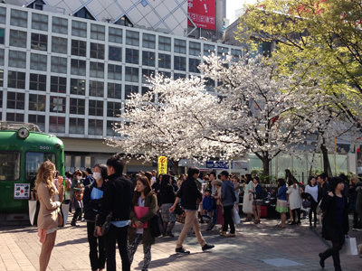 20130322_0221_m.jpg