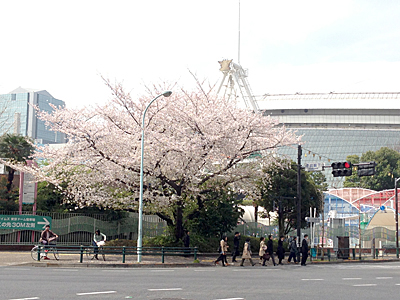 20130328_0184_m_edited-1.jpg