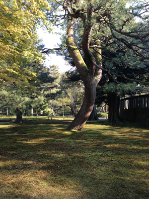 2013 04 27_0887.jpg