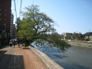 2013 04 27_1139.jpg