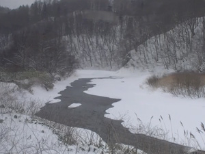 20140209_225200.jpg