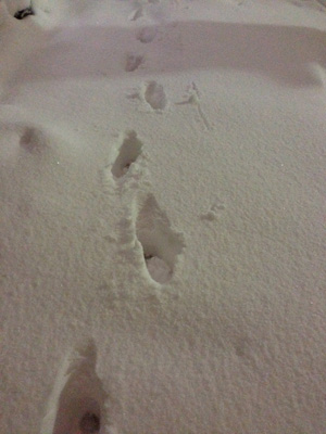 20140215_3981.jpg