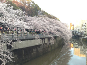 20140330_4499.jpg