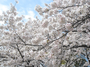 20140401_1813.jpg