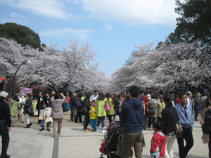 20140401_1832.jpg