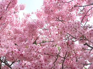 20140401_1851.jpg