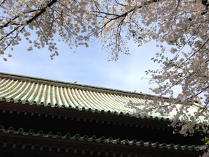 20140401_4582.jpg
