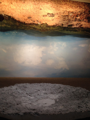 20140613_5202.jpg