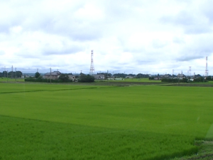 20140717_ 93749.jpg