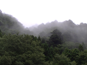 20140718_230629.jpg