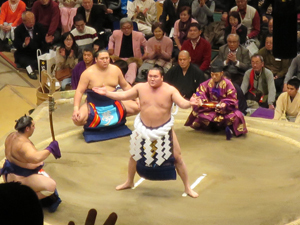 20150125_0893.jpg