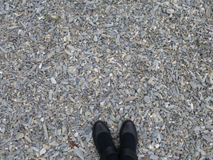 20150503_0612.jpg