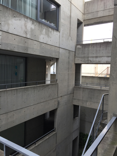 20150503_8412.jpg