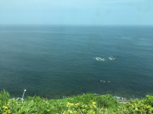 20150613_8946.jpg