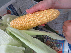 20150622_1565.jpg