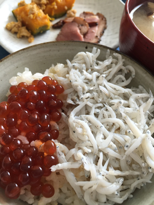 20150911_0275.jpg