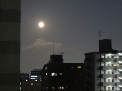 20150928_0217.jpg