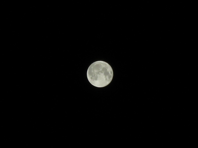 20150928_0244.jpg