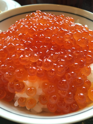 20151012_0871.jpg