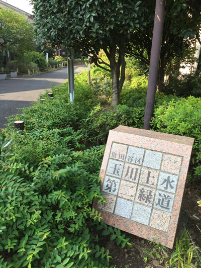 20151022_1042.jpg