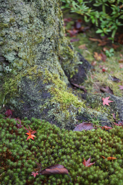 20151114_2266.jpg