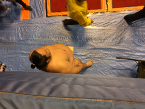20160409_4285.jpg