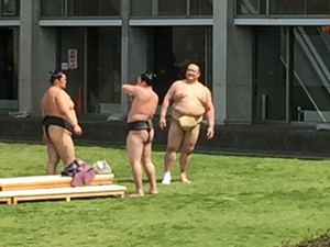 20160409_4293.jpg