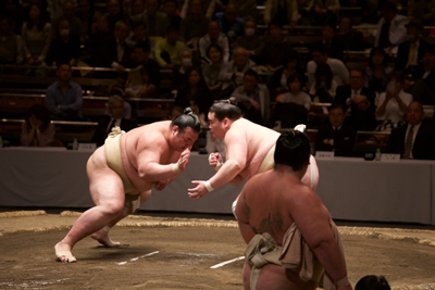 20160429_7066.jpg