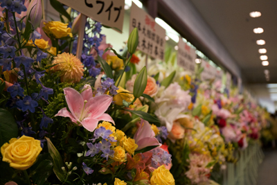 20160529_7907.jpg
