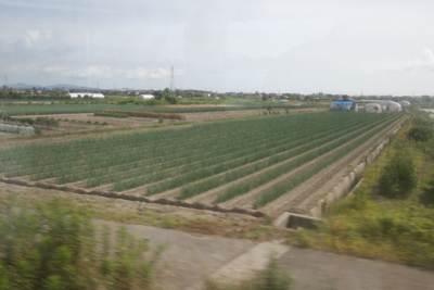 20160710_8998.jpg