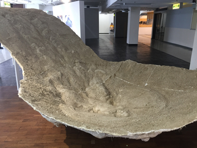 20160922_7132.jpg