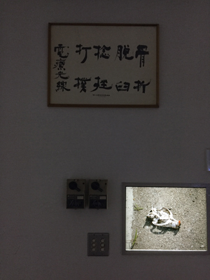 20160922_7197.jpg