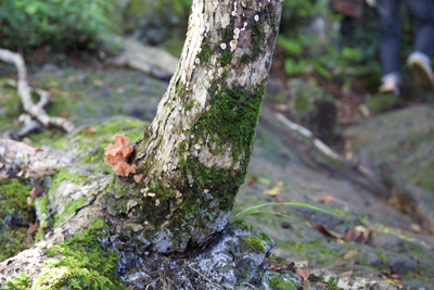 20161002_1779.jpg