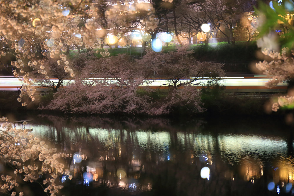 20170408_6852.jpg