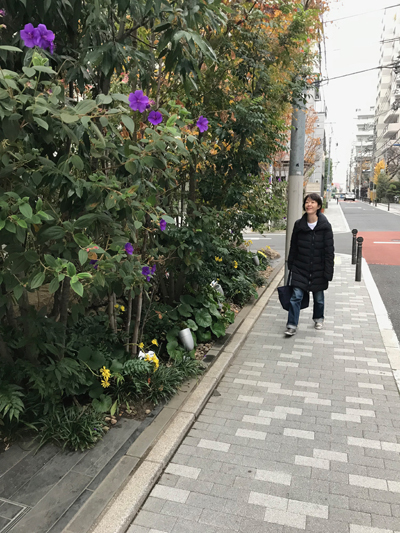 20171208_5422.jpg