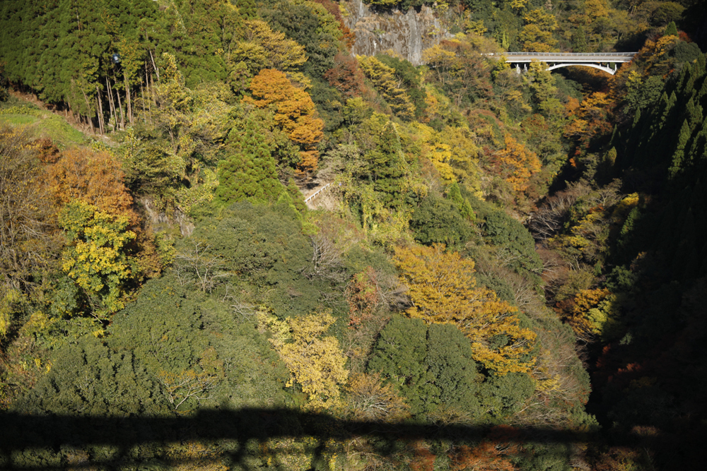20181110_38A1843.jpg