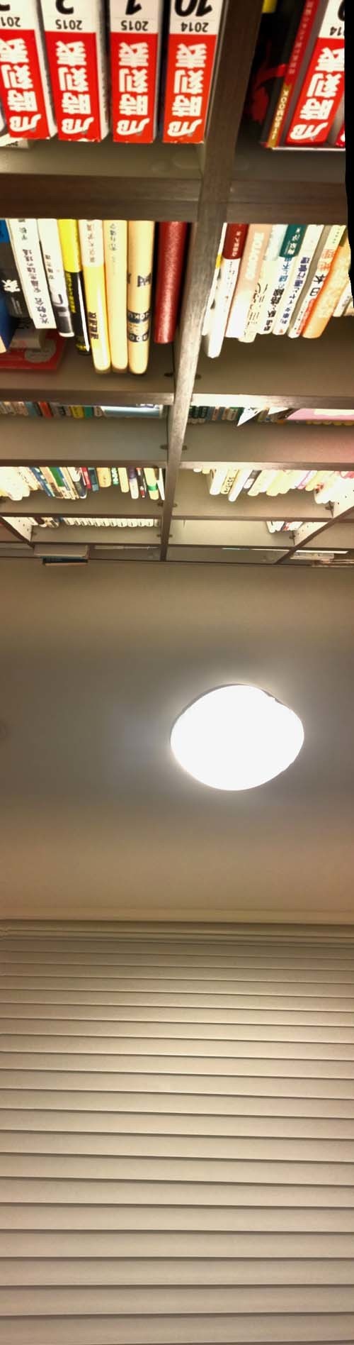 20190317_5131m.jpg