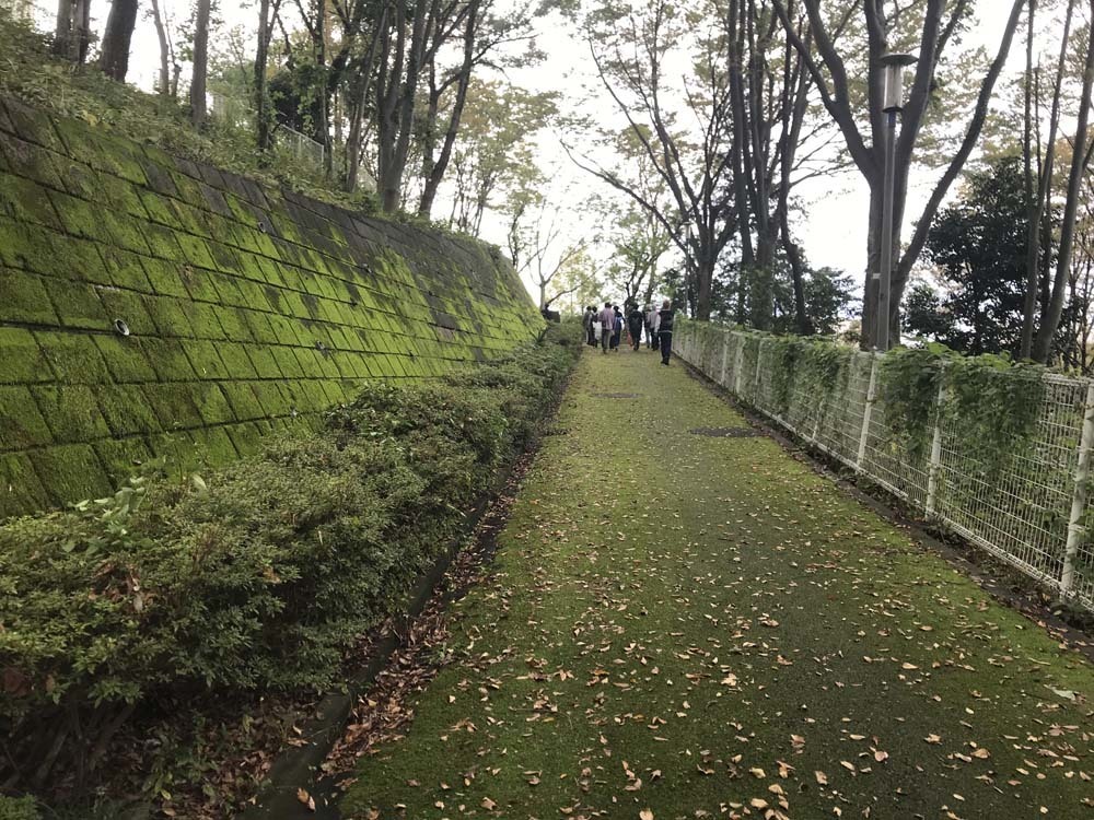 20191020_9768.jpg