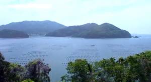 71_20130610.jpg