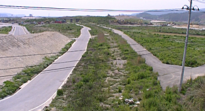76_20130610.jpg