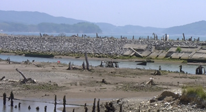 80_20130610.jpg