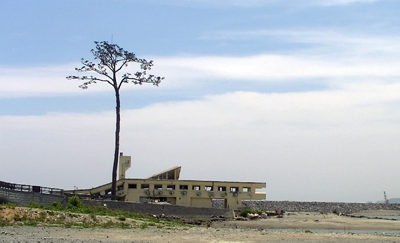 81_20130610.jpg
