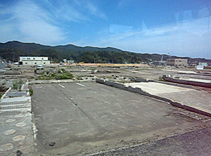 82_20130610.jpg