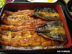 IMG_0708234085.jpg