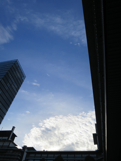 IMG_2155n.jpg