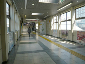 P1060654m.jpg