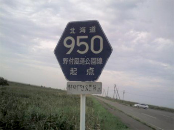 img806.jpg