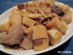 takenoko06m.jpg