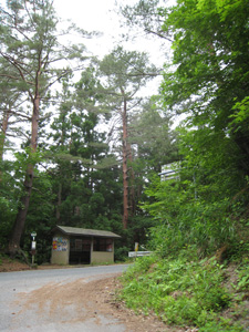 20110703_6443.jpg